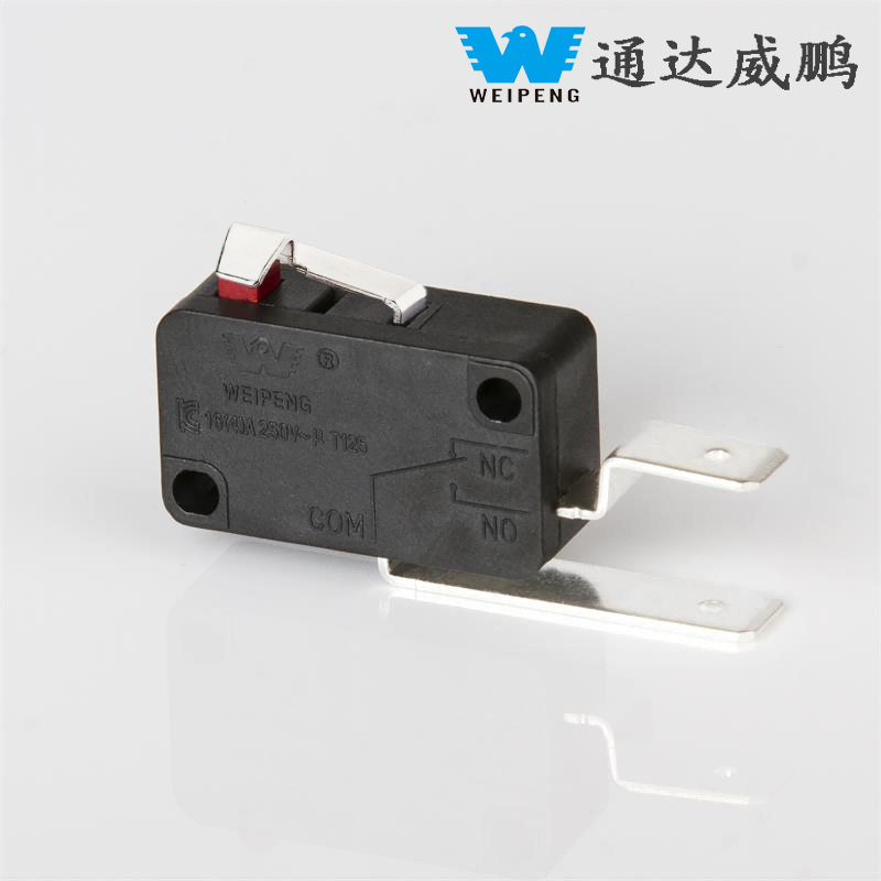Accessori per elettrodomestici con microinterruttore con perno in ferro/rame 16A