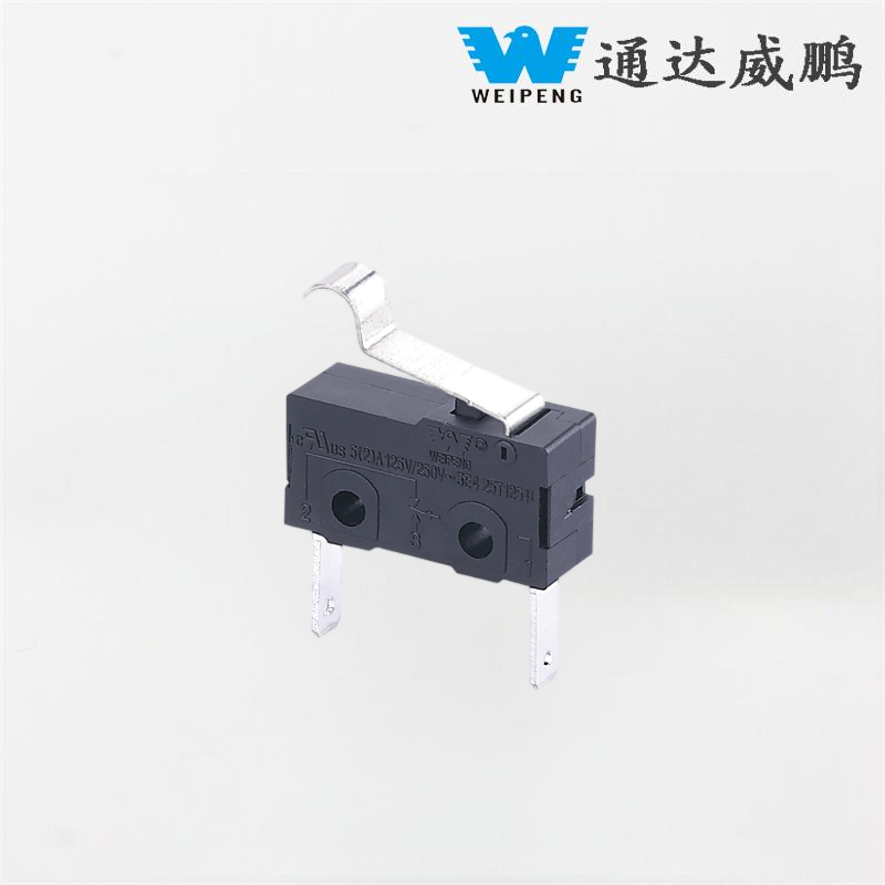 Microinterruttore per stazione di ricarica automobilistica a 2 pin antipolvere HK-04G-L
