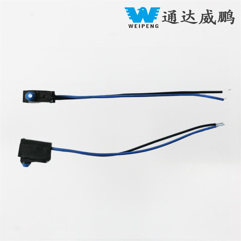 Microinterruttore impermeabile IP67 sigillato