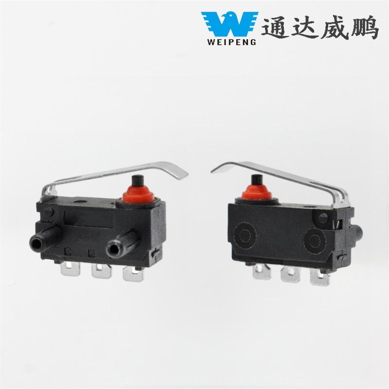 Piccolo microinterruttore impermeabile per portellone posteriore dell'auto