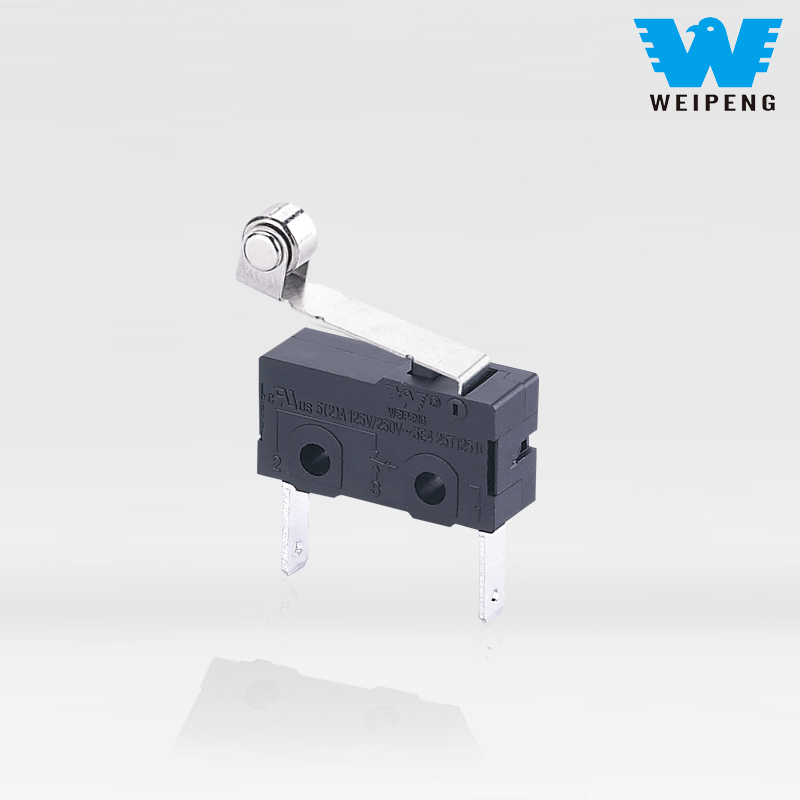 Microinterruttore di ricarica per auto a 2 pin Weipeng antipolvere 5A